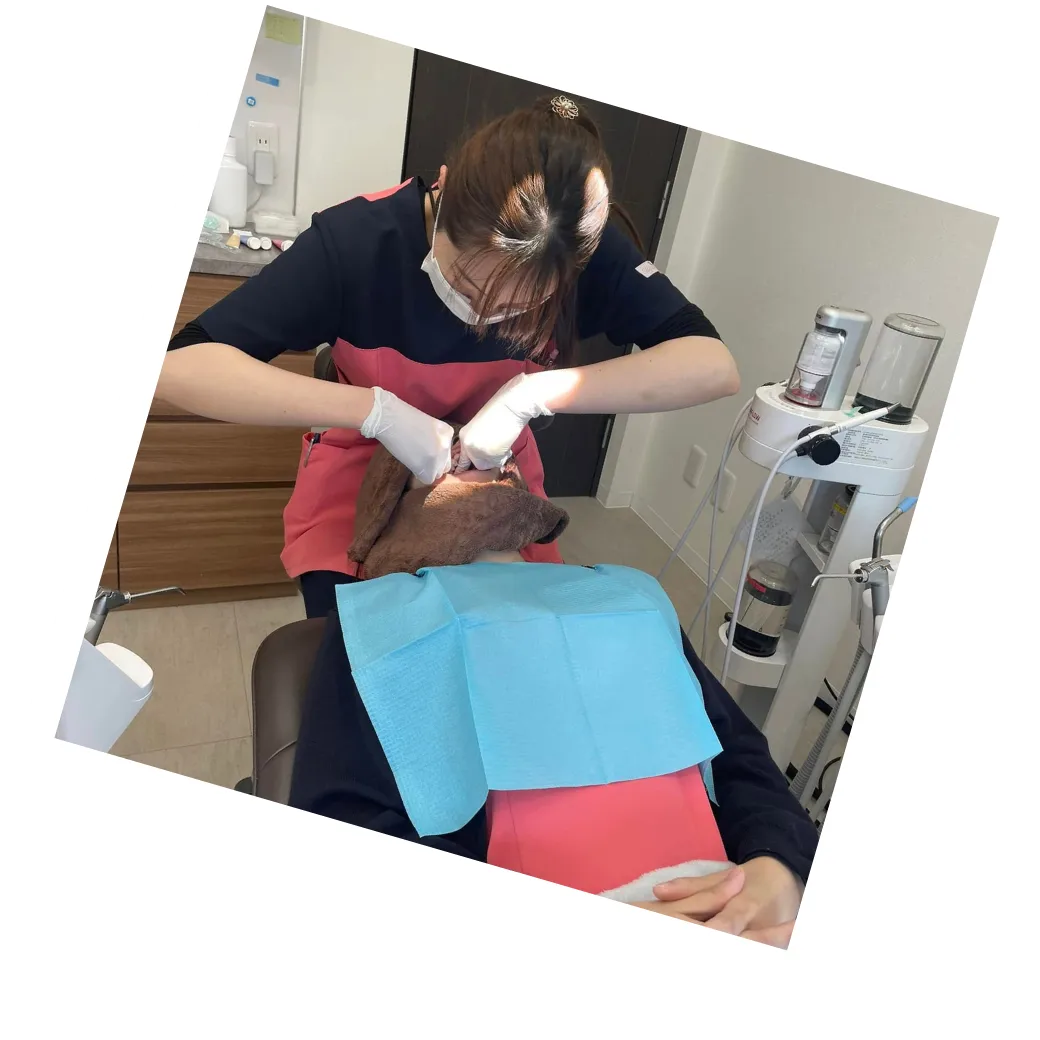 Image is not available